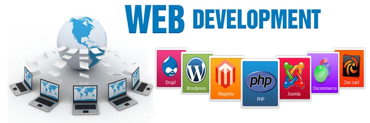 web-development-company india